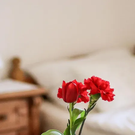 Vordermitterast Horská chata *