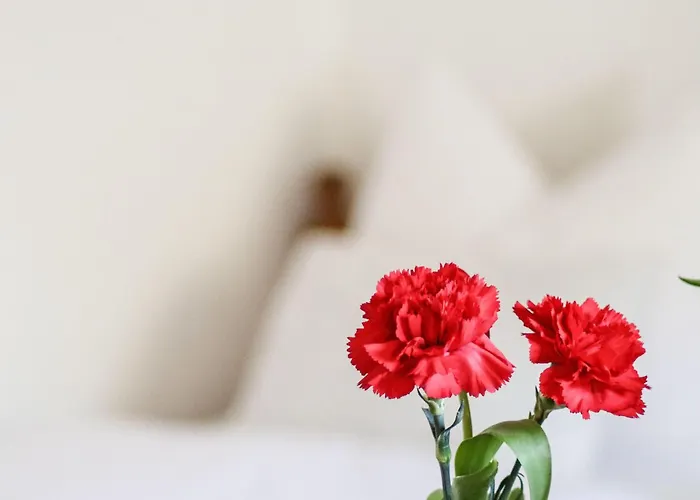 木屋 Vordermitterast 蒂罗尔-基希贝格