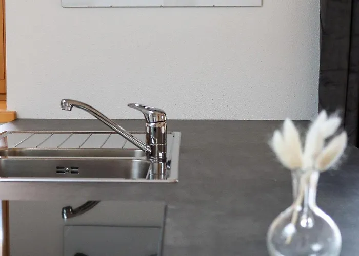 Vordermitterast 木屋 *