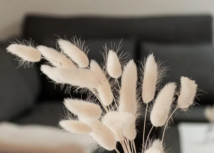 Vordermitterast 木屋