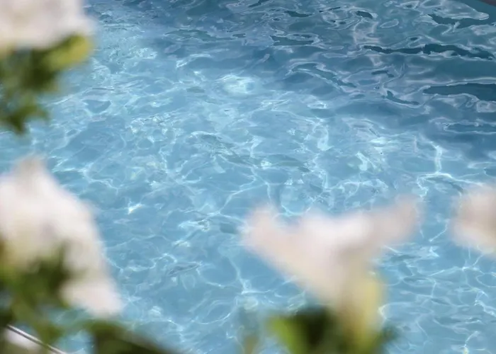 Vordermitterast 蒂罗尔-基希贝格