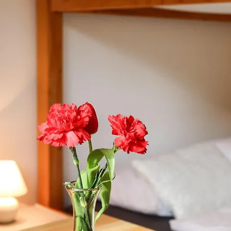 Vordermitterast * キルヒベルク・イン・チロル