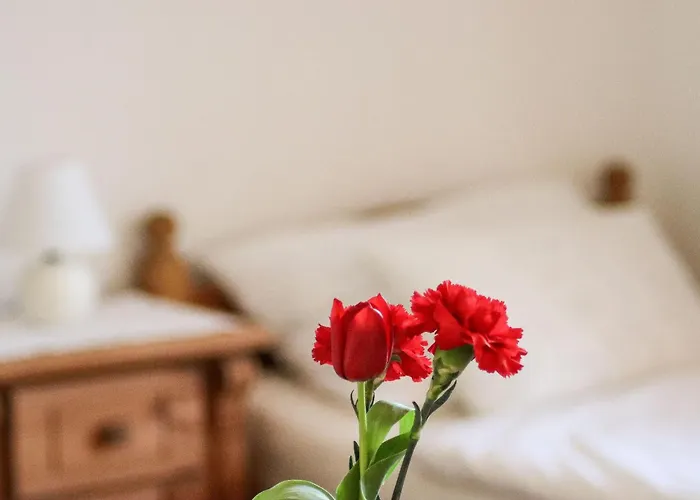 Vordermitterast シャレー *