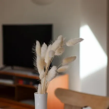 Vordermitterast *